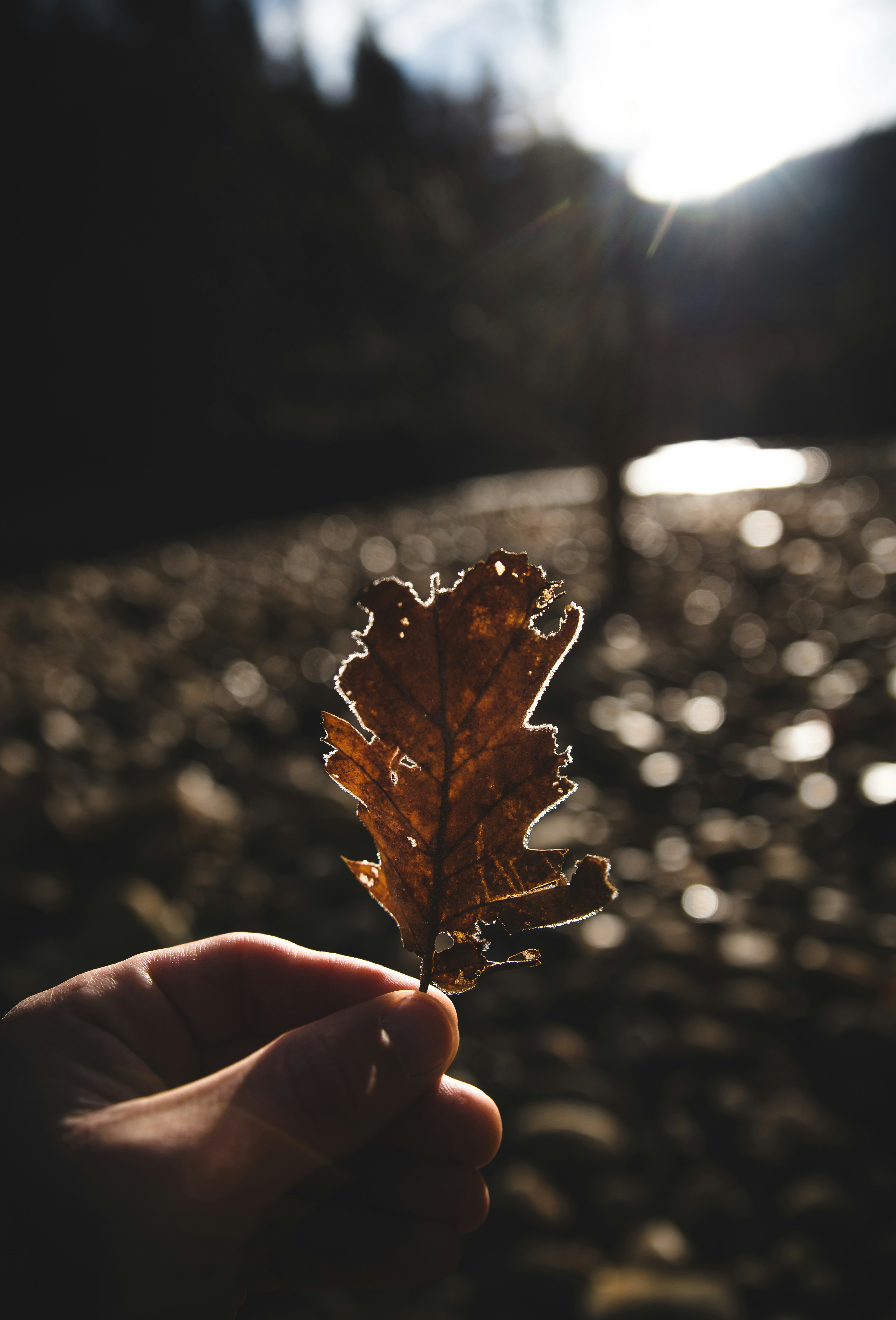 Photo by mischievous_penguins