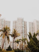 High-rise residential buildings stand tall in the background, surrounded by several palm trees and lush green shrubbery in the foreground, against a clear sky.