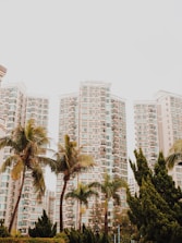 High-rise residential buildings stand tall in the background, surrounded by several palm trees and lush green shrubbery in the foreground, against a clear sky.