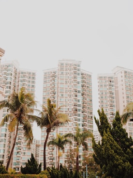 High-rise residential buildings stand tall in the background, surrounded by several palm trees and lush green shrubbery in the foreground, against a clear sky.