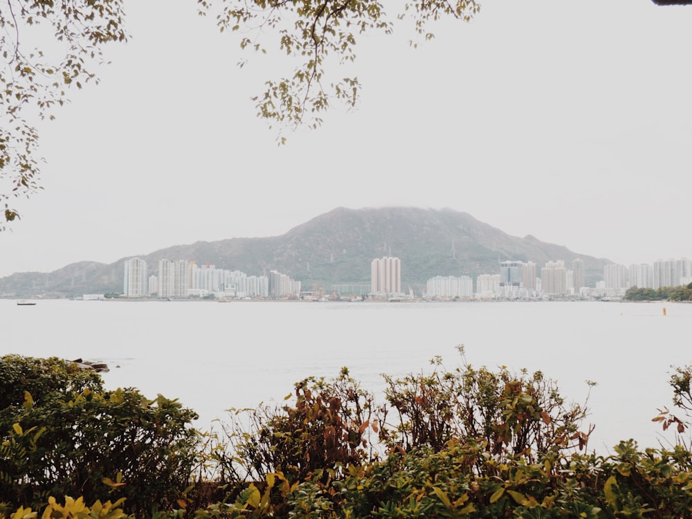 Edifícios da cidade perto da montanha e do corpo de água