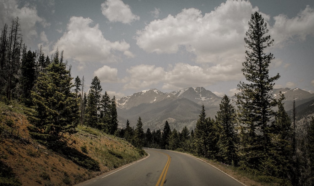 road in mountain with green trees