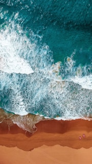 aerial photography of beach