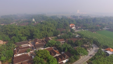 An aerial view of a village featuring a cluster of houses with brown roofs surrounded by dense greenery. There are various trees and plants scattered throughout the village. A winding road passes through the area, with a few vehicles visible. In the background, there are more trees that extend into the horizon.