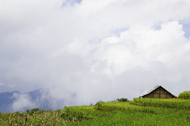 A cozy wooden homestay nestled among green tea gardens with misty Himalayan peaks in the background under a soft morning light.