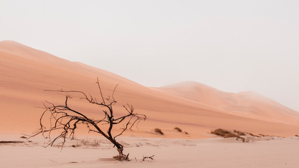 desert spaces