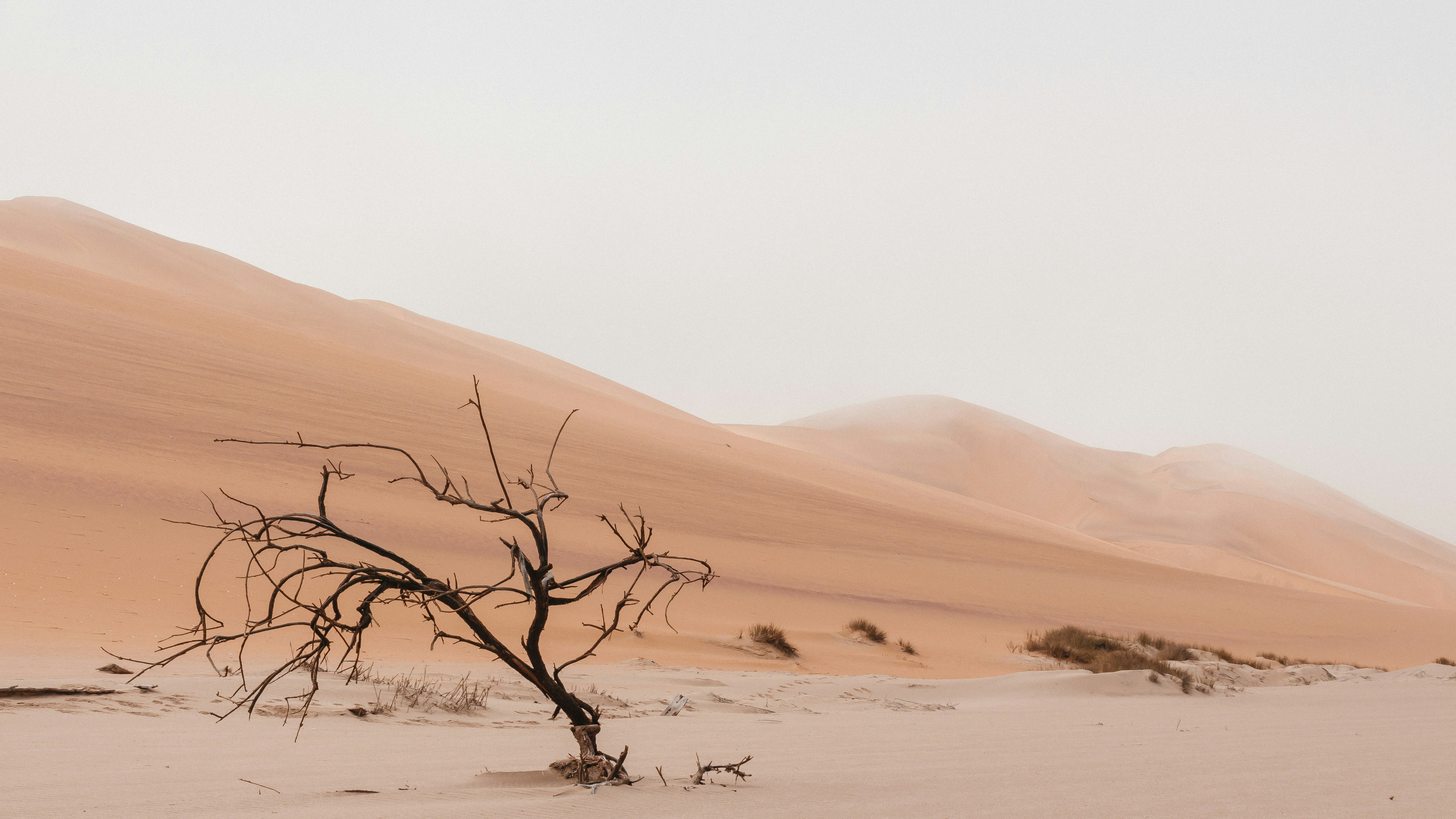 Lost And Alone: A Survival Story From The Desert