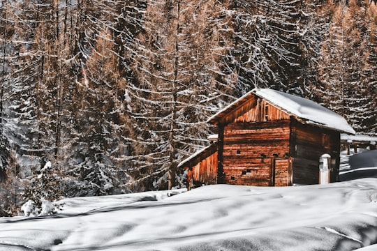 photography of brown wooden cabin near trees in Lungiarü Italy