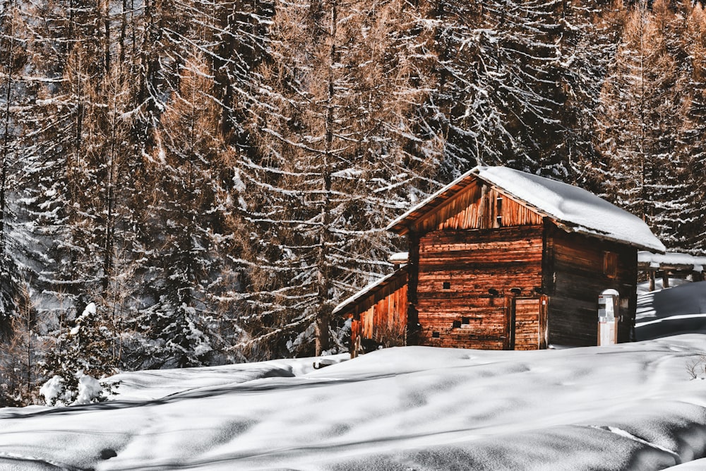 Fotografie einer braunen Holzhütte in der Nähe von Bäumen