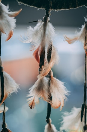 Delicate, softly-tinted feathers are hanging, appearing to be part of a dreamcatcher. The background is blurred, emphasizing the texture and lightness of the feathers.