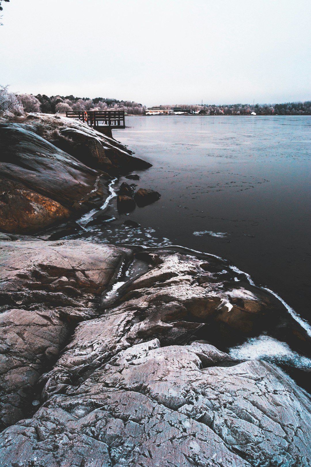 aerial view photography of shore and sea