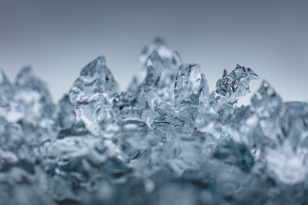 shallow focus photography of ice melting