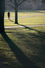 A man enjoying a peaceful morning walk in a park with soft, natural light.