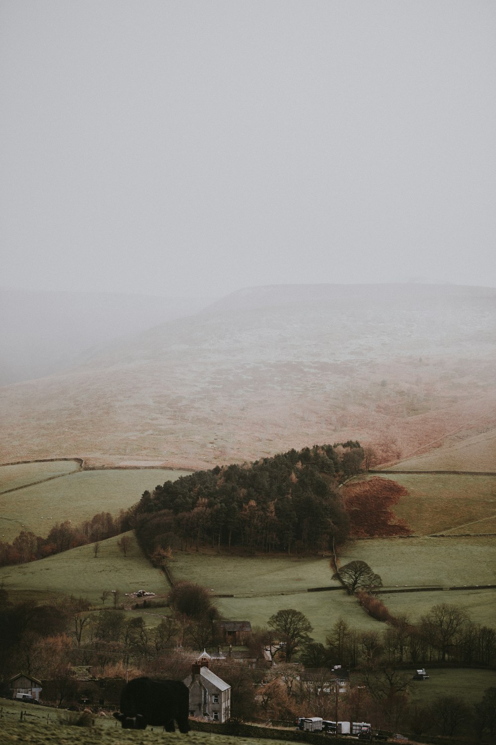 aerial photography of green trees and mountain under foggy sky