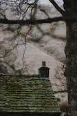 A stunning view of a rustic homestead surrounded by moss-draped oaks.