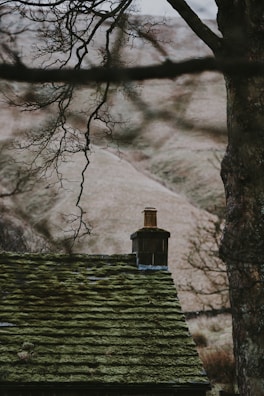 A stunning view of a rustic homestead surrounded by moss-draped oaks.