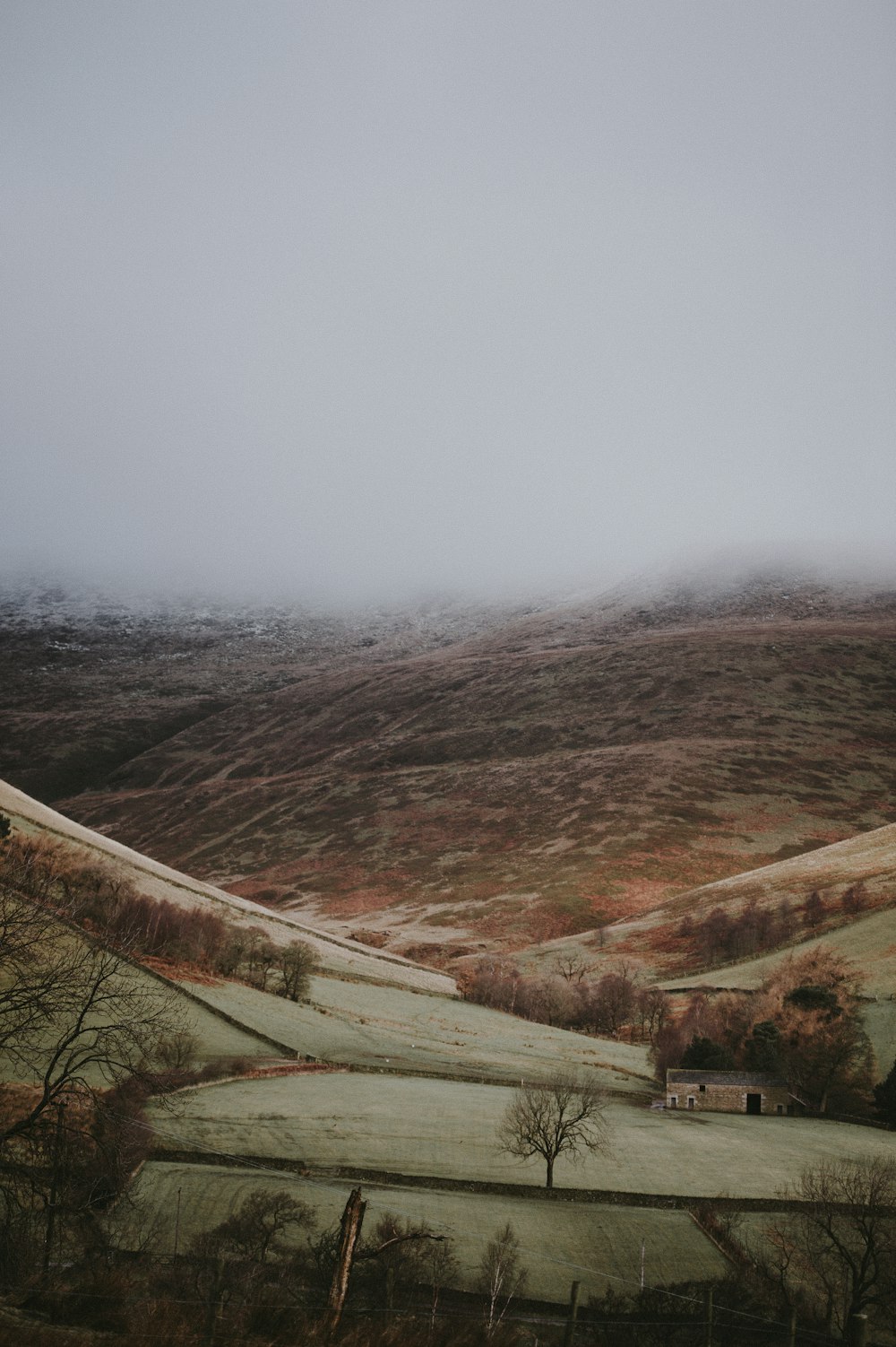 aerial photography of hill and field under white sky at daytime