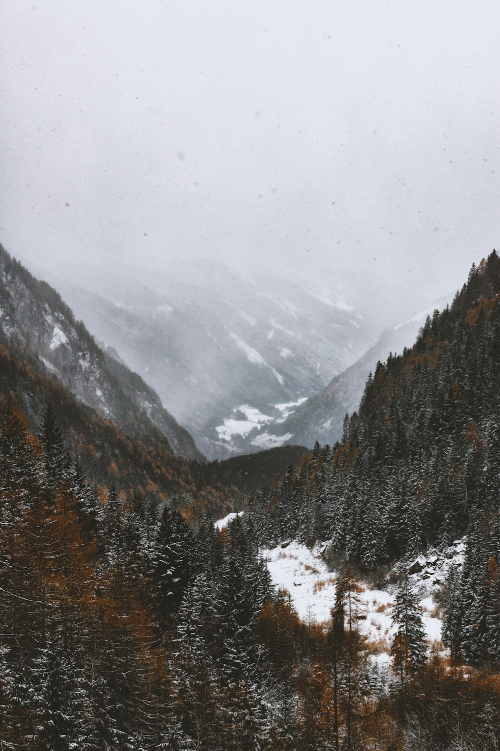 fotografia di paesaggio della montagna innevata sotto il cielo nebbioso