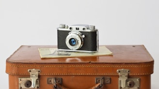 a camera sitting on top of a brown suitcase