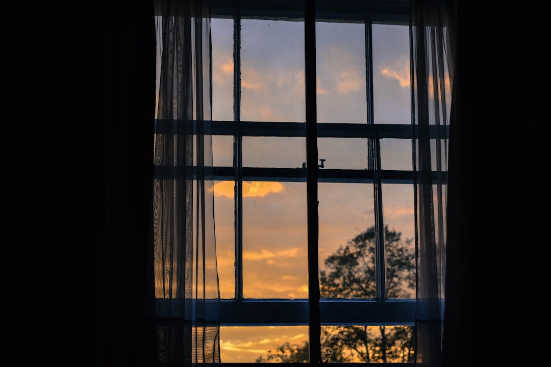 How to Optimize Home Energy Efficiency with the Right Window Selection