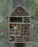 A wooden insect house is attached to a tree trunk. The house is divided into various compartments filled with natural materials like bamboo tubes, wooden blocks, and twigs, offering a habitat for insects. The background consists of a blurred forest with trees and greenery.