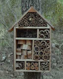 A wooden insect house is attached to a tree trunk. The house is divided into various compartments filled with natural materials like bamboo tubes, wooden blocks, and twigs, offering a habitat for insects. The background consists of a blurred forest with trees and greenery.