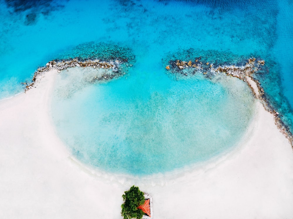 bird's eye view of naked island