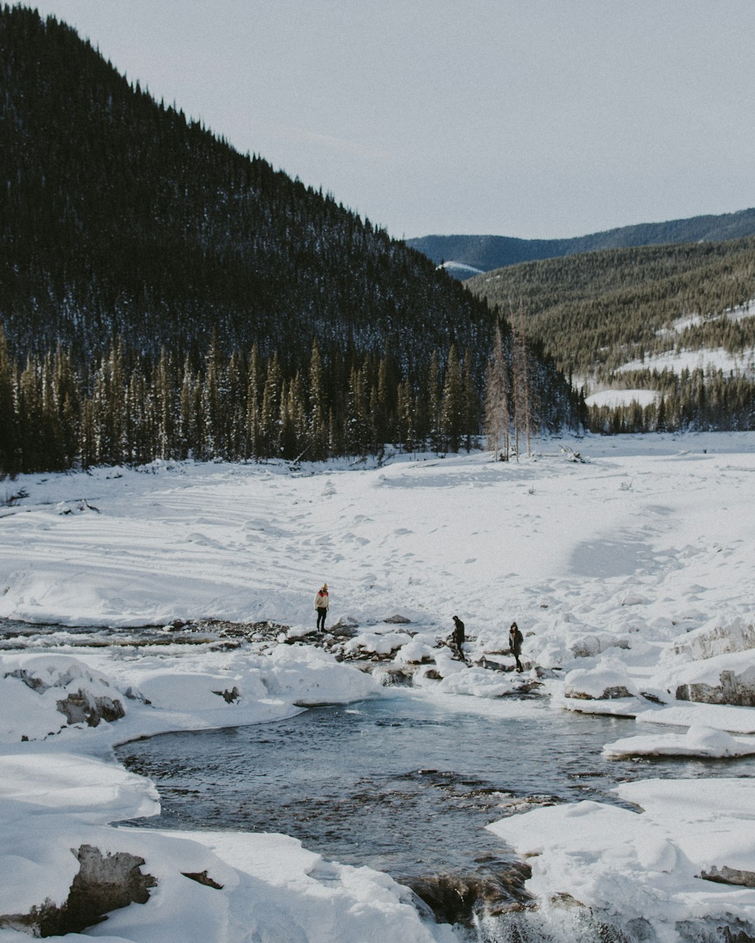 photo of Elbow Falls River near Elbow Lake