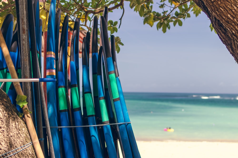 assorted-color surfboards beside the tree