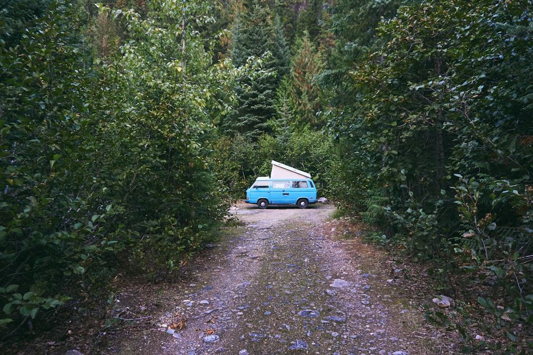 Jungle photo spot British Columbia Kitimat