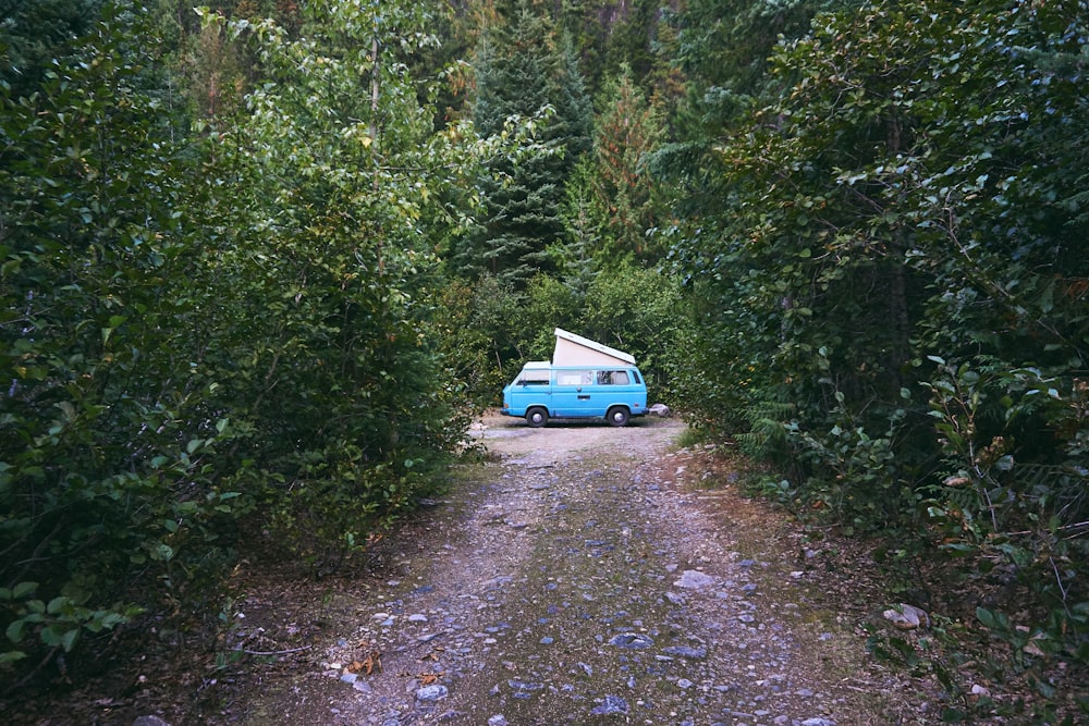 blue van surrounded by green trees during daytime