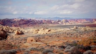 rock hills and green bushes on field under cloud sky