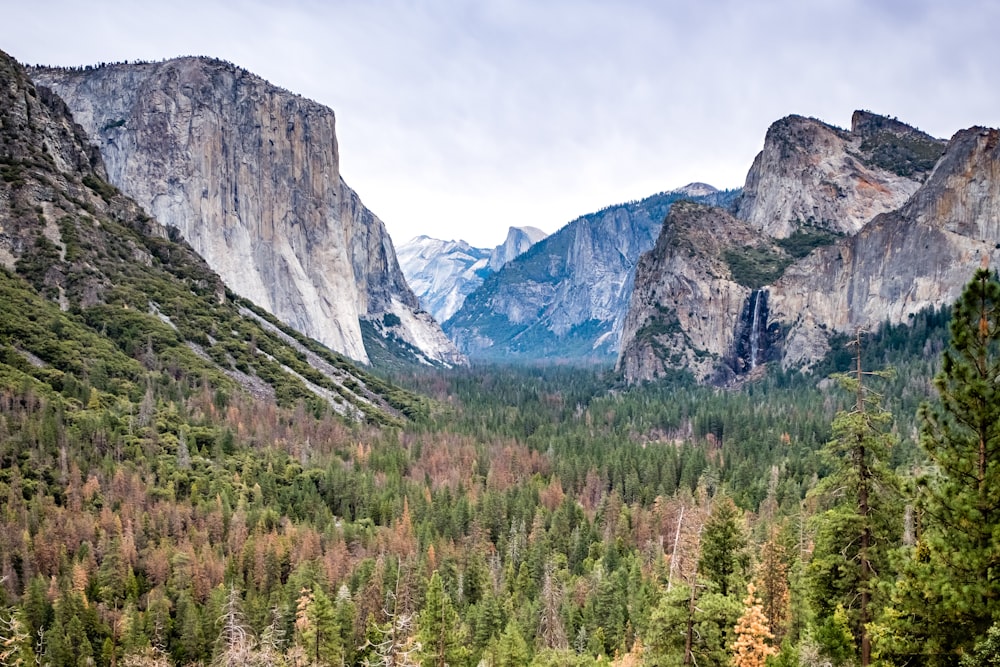 landscape photography of mountain formations and green leafed trees