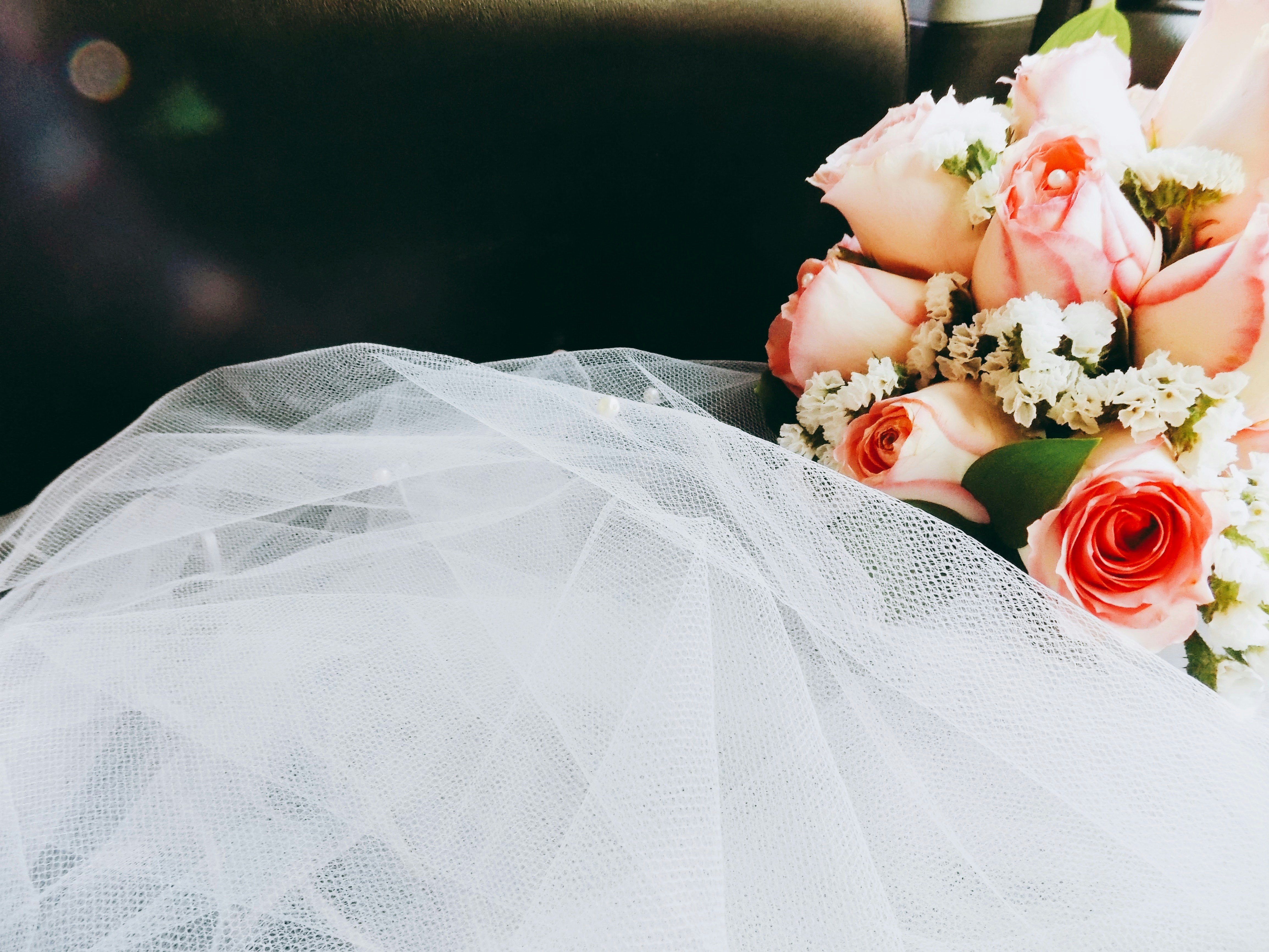 https://images.unsplash.com/photo-1515647433590-bd29995561a4?ixid=M3w2MjYzNjJ8MHwxfHNlYXJjaHwxMHx8V2VuZHklMjdzfGVufDB8MHx8fDE3MjI1NTg2MjF8MA&ixlib=rb-4.0.3