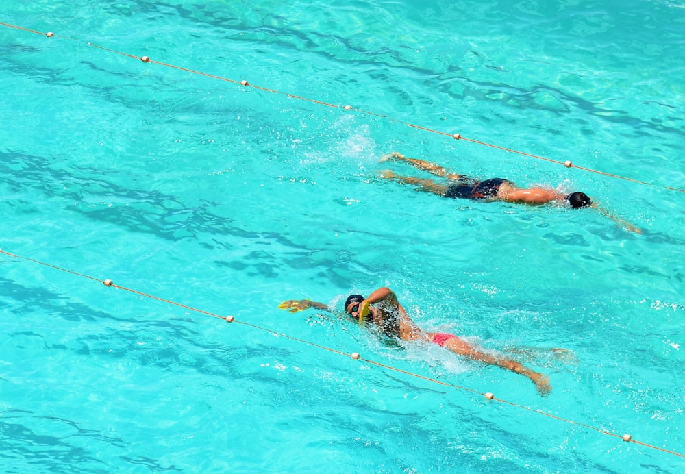 two person swims on opposite direction