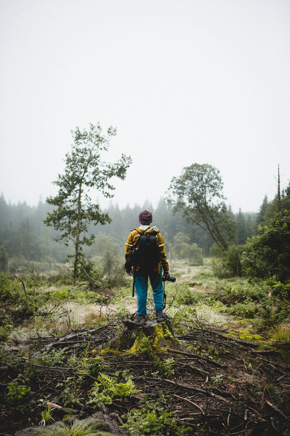 man standing on twigs facing foggy forest