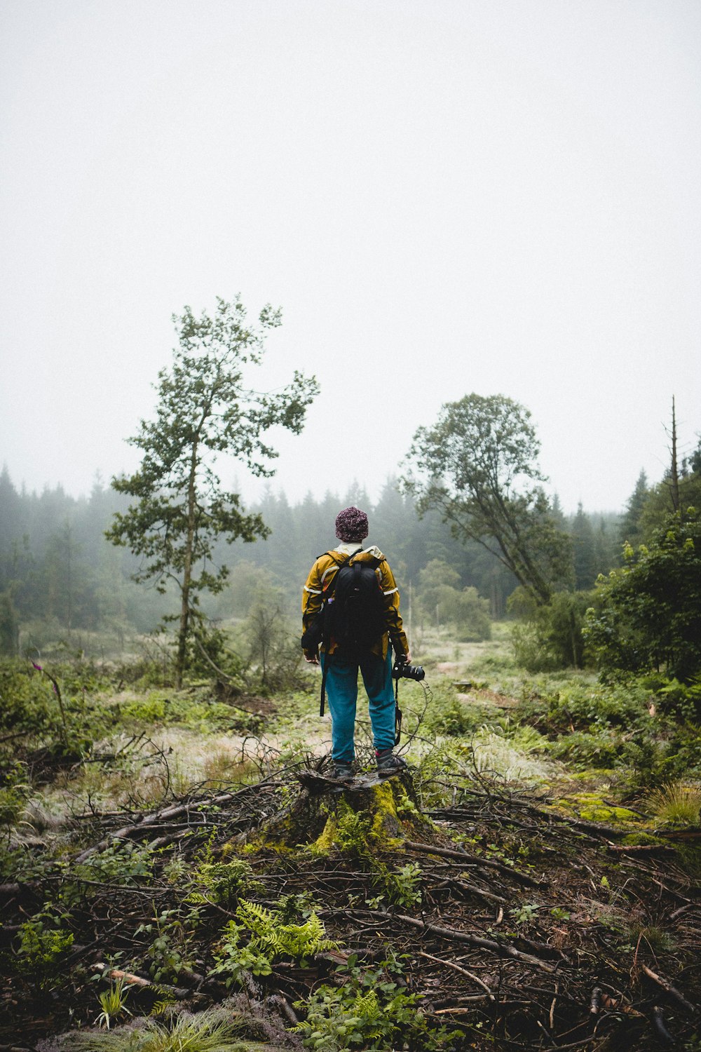 uomo in piedi sui ramoscelli di fronte alla foresta nebbiosa