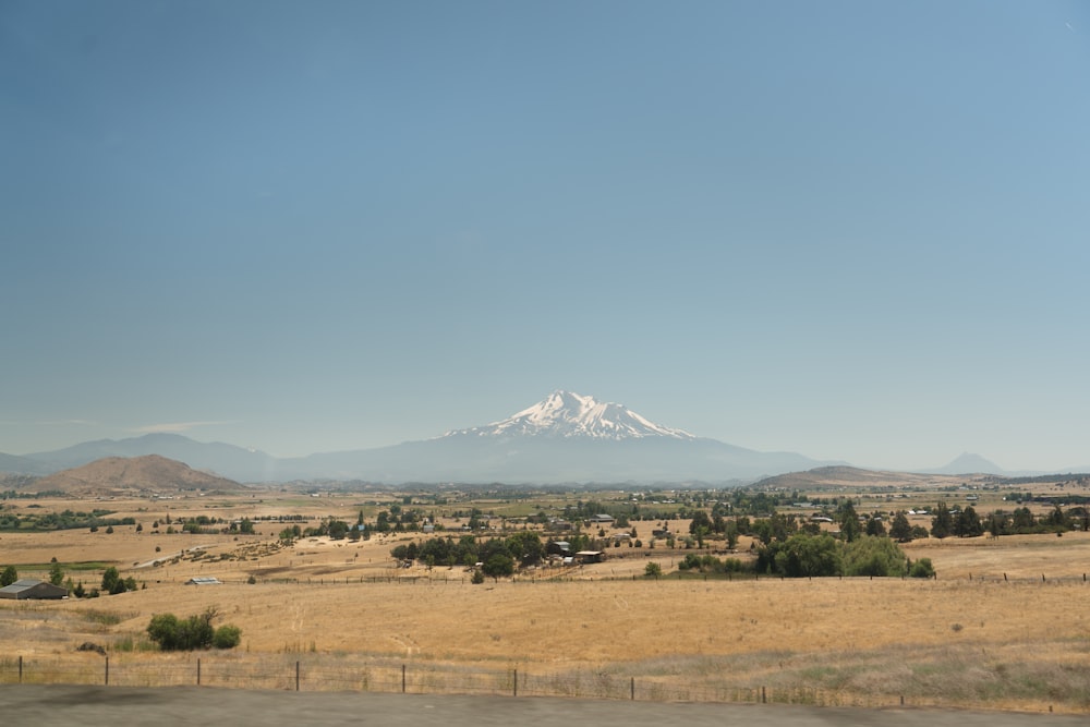 green trees and brown field near mountain under blue sky during daytime