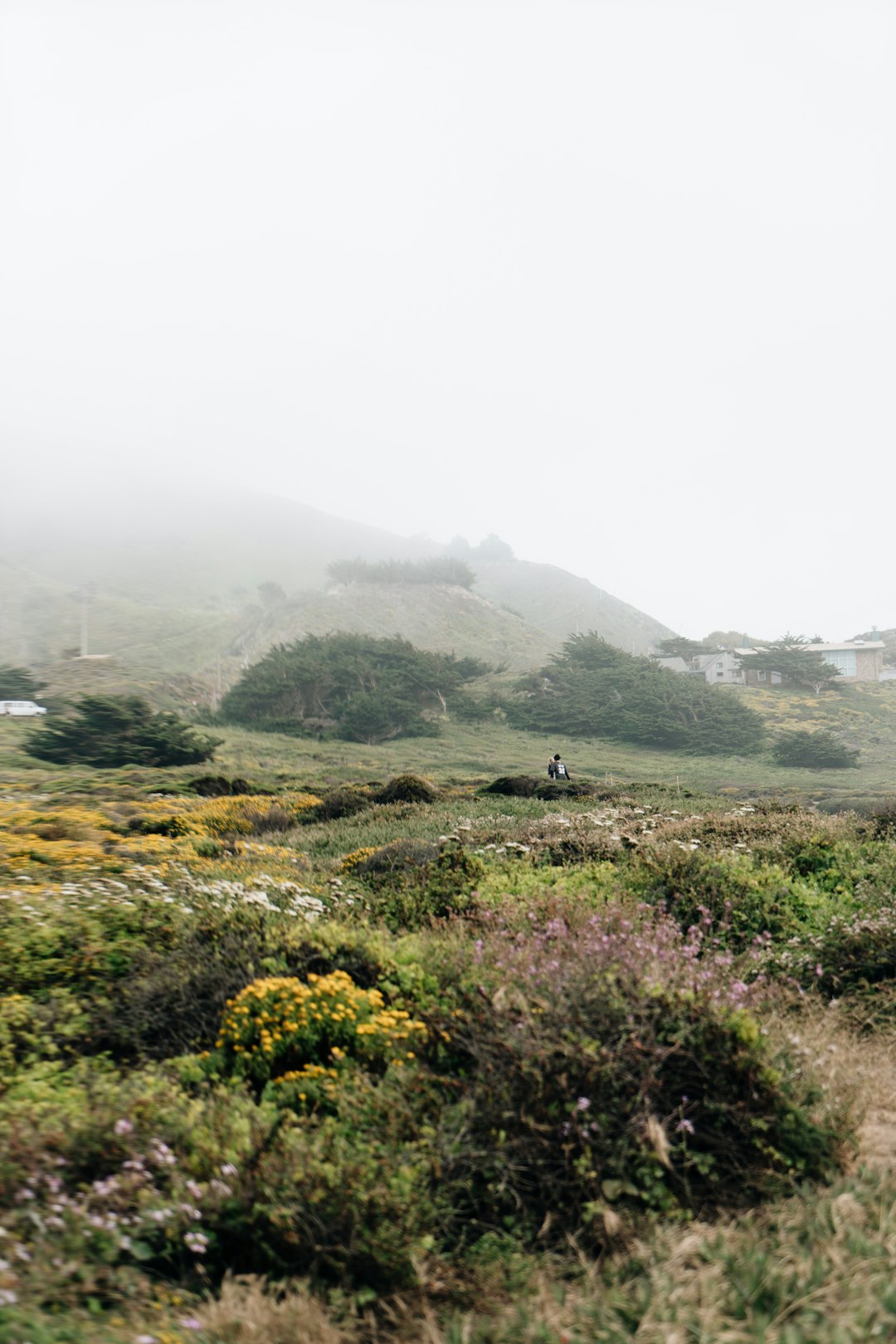 Hill photo spot Carmel Beach Mount Umunhum