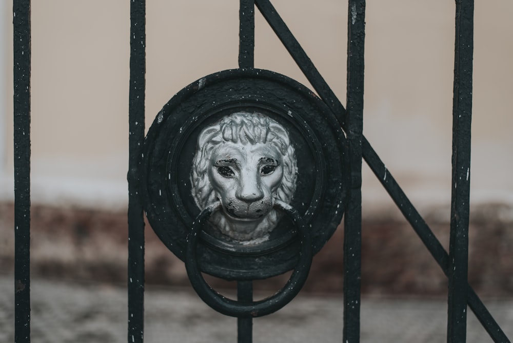 schwarzer Metallzaun mit geschnitztem Löwenkopf