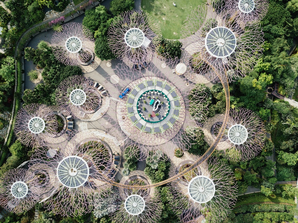 fotografia aerea di Supertree Groove, Singapore durante il giorno