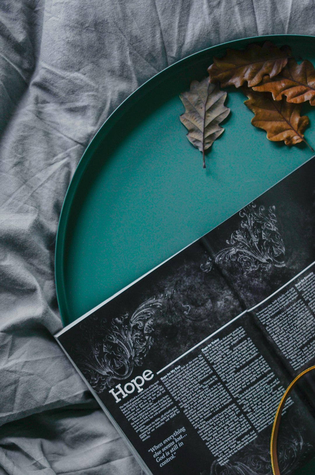 book and dried leaves on green plate