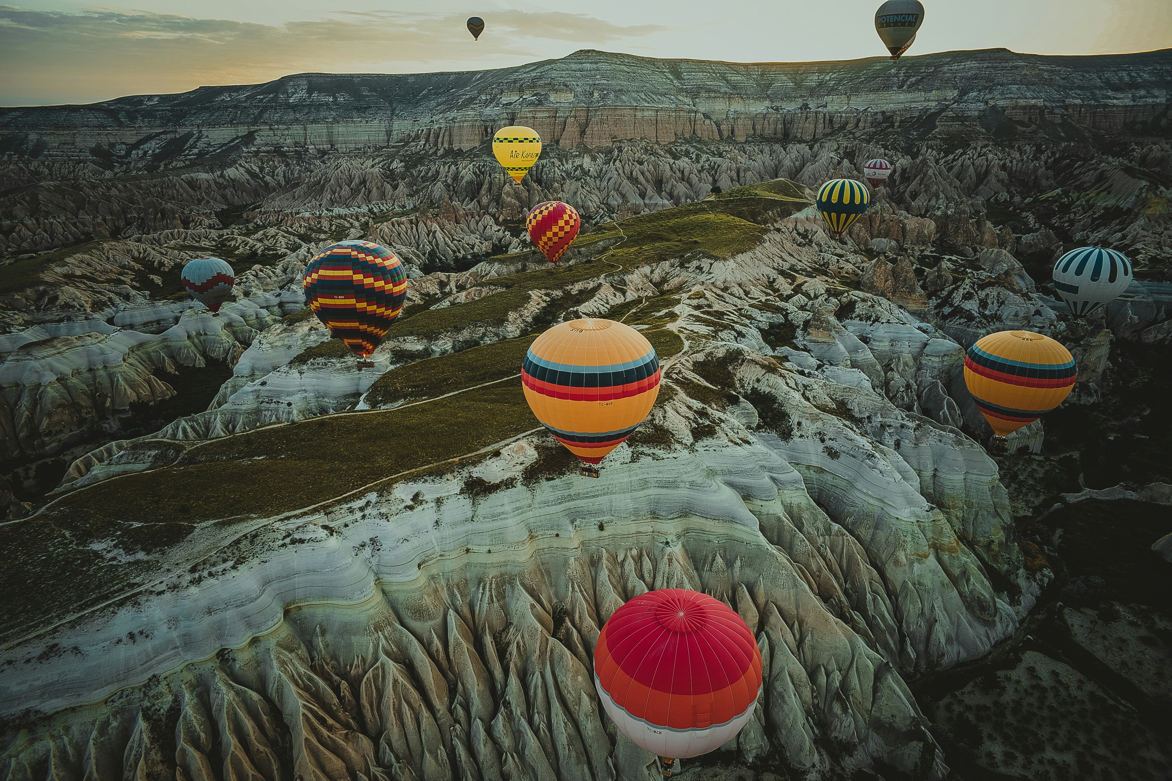 Sony Alpha a99 + 20mm F2.8 sample photo. Assorted-color hot air balloons photography