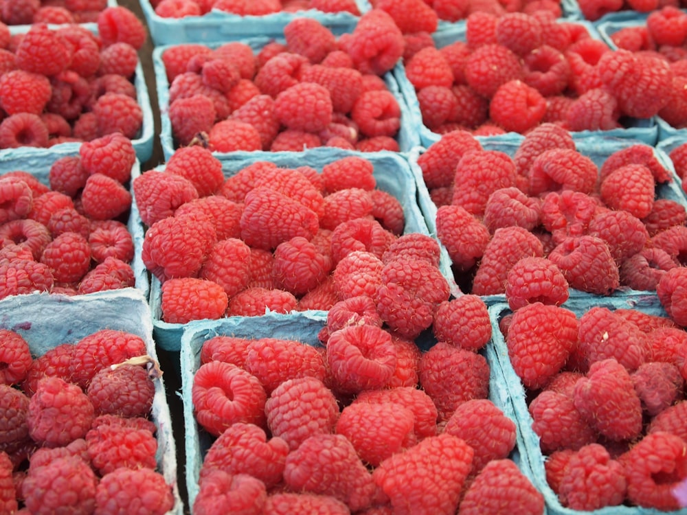 raspberry lot