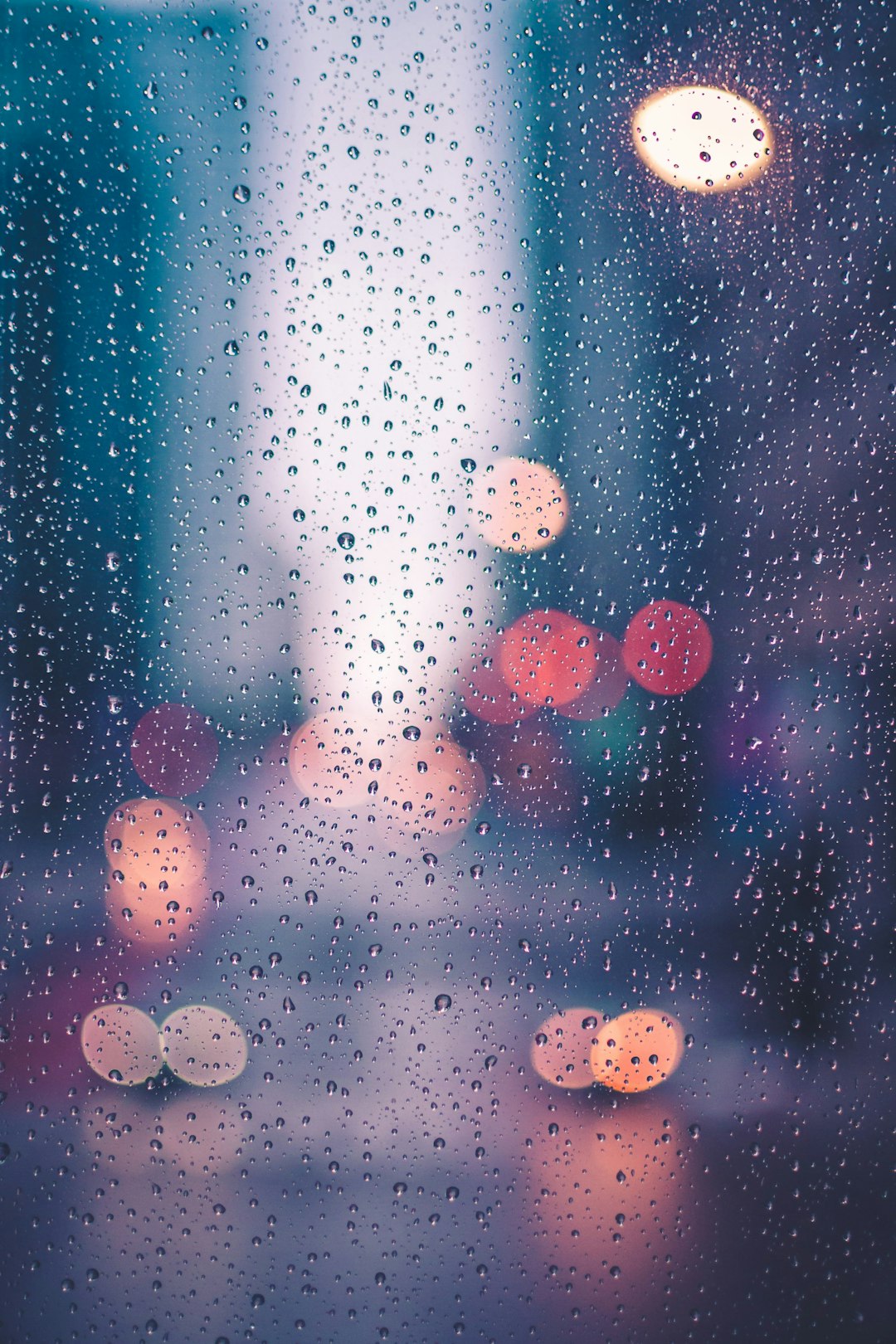 3 Perfect Poems for a Climate Changed & Rainy Day