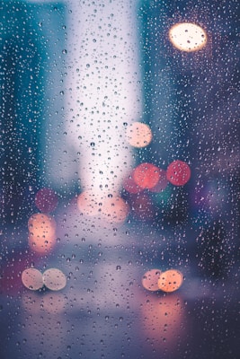 Rainy Day Musings