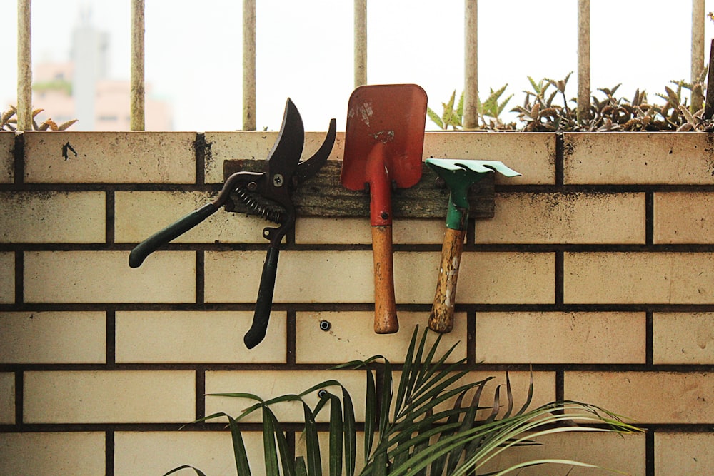 red shovel hanging on rack beside plant