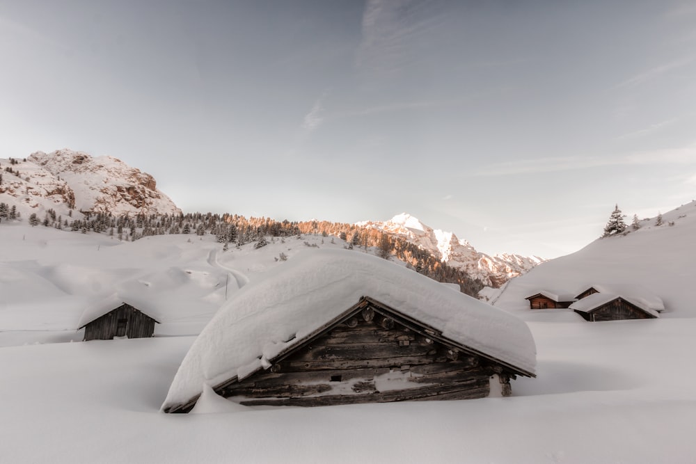雪に覆われた木造住宅