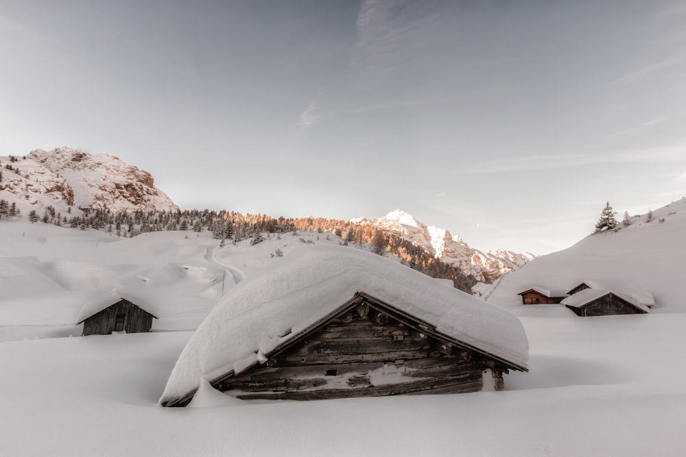 wooden house covered by snow