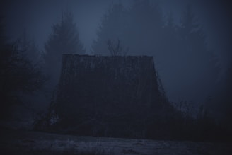 A misty dark forest at night with faint glowing eyes peering through the shadows.